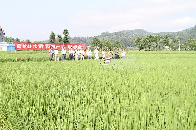 西乡县”两防一喷”无人植保机现场演示 西乡县”两防一喷”无人植保机现场演示